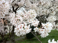 大切なお知らせ